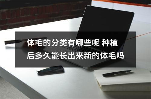 体毛的分类有哪些呢 种植后多久能长出来新的体毛吗