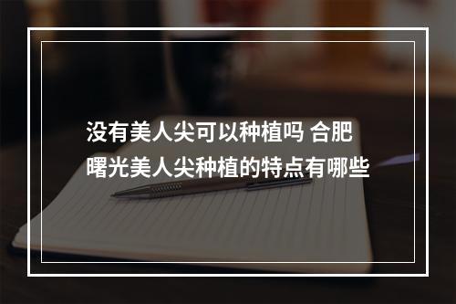 没有美人尖可以种植吗 合肥曙光美人尖种植的特点有哪些