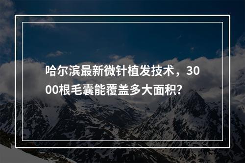 哈尔滨最新微针植发技术，3000根毛囊能覆盖多大面积？