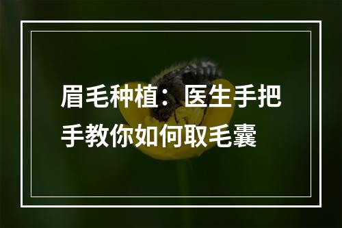 眉毛种植：医生手把手教你如何取毛囊