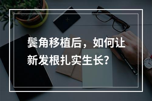 鬓角移植后，如何让新发根扎实生长？