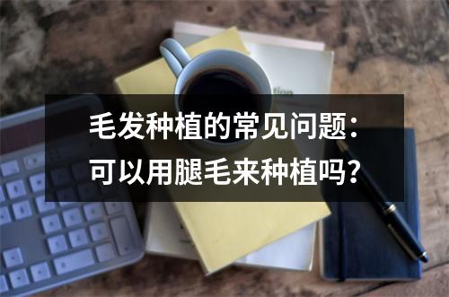 毛发种植的常见问题：可以用腿毛来种植吗？