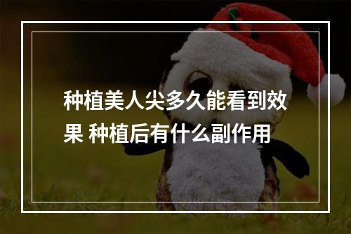 种植美人尖多久能看到效果 种植后有什么副作用