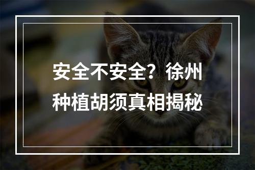 安全不安全？徐州种植胡须真相揭秘