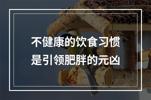 不健康的饮食习惯是引领肥胖的元凶