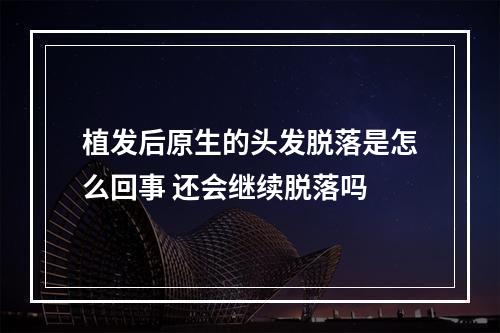 植发后原生的头发脱落是怎么回事 还会继续脱落吗