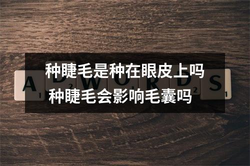 种睫毛是种在眼皮上吗 种睫毛会影响毛囊吗