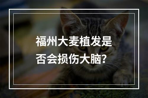 福州大麦植发是否会损伤大脑？