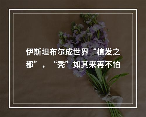 伊斯坦布尔成世界“植发之都”，“秃”如其来再不怕