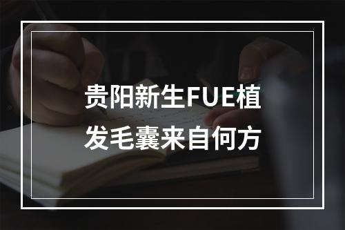 贵阳新生FUE植发毛囊来自何方