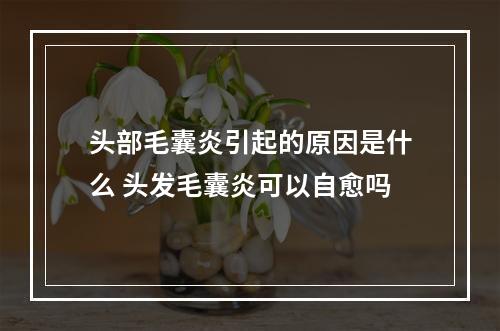 头部毛囊炎引起的原因是什么 头发毛囊炎可以自愈吗