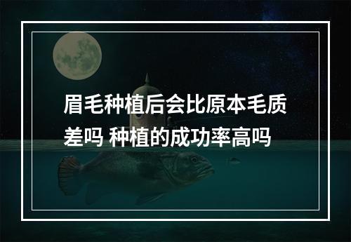 眉毛种植后会比原本毛质差吗 种植的成功率高吗