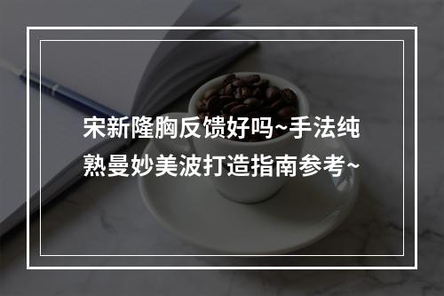 宋新隆胸反馈好吗~手法纯熟曼妙美波打造指南参考~