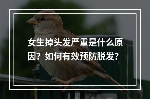 女生掉头发严重是什么原因？如何有效预防脱发？