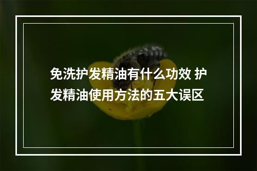 免洗护发精油有什么功效 护发精油使用方法的五大误区