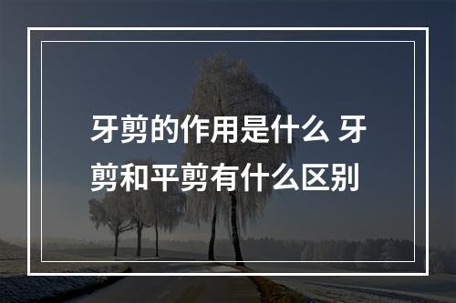 牙剪的作用是什么 牙剪和平剪有什么区别