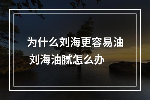 为什么刘海更容易油 刘海油腻怎么办