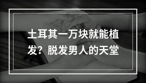 土耳其一万块就能植发？脱发男人的天堂