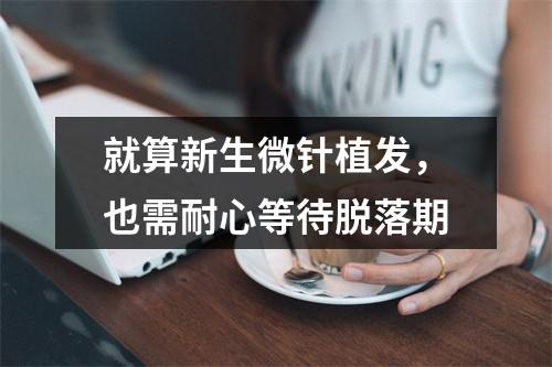 就算新生微针植发，也需耐心等待脱落期