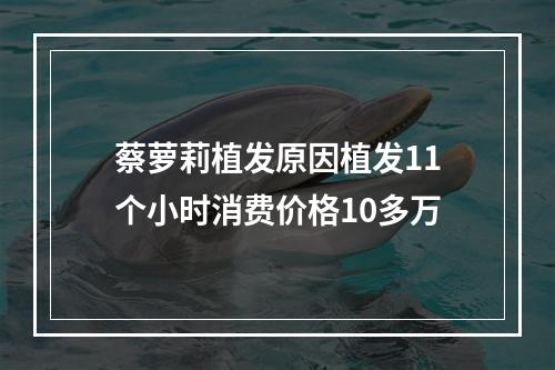 蔡萝莉植发原因植发11个小时消费价格10多万