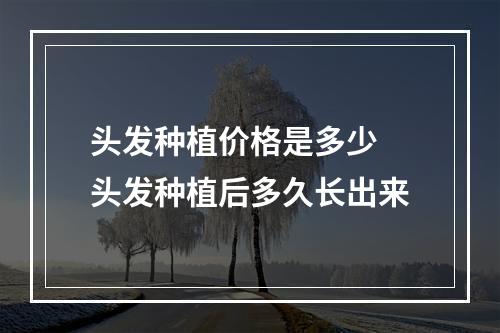 头发种植价格是多少 头发种植后多久长出来