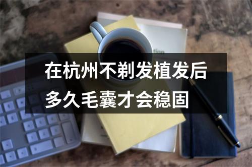 在杭州不剃发植发后多久毛囊才会稳固