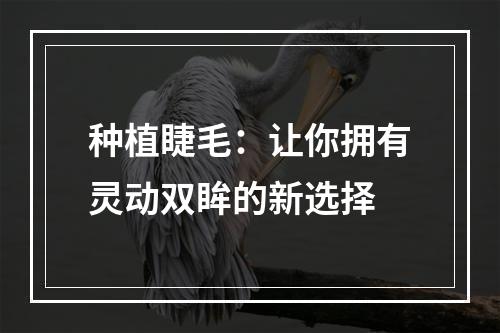 种植睫毛：让你拥有灵动双眸的新选择