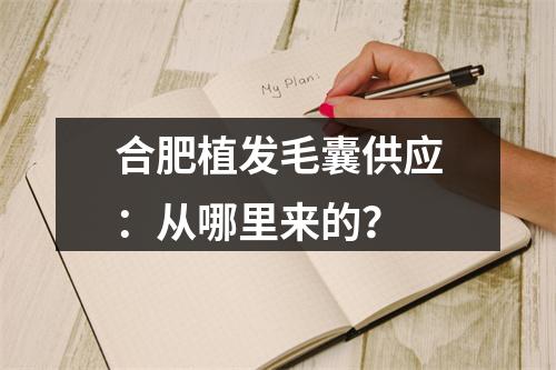 合肥植发毛囊供应：从哪里来的？