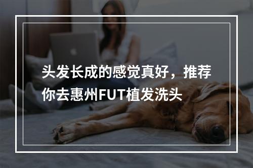 头发长成的感觉真好，推荐你去惠州FUT植发洗头