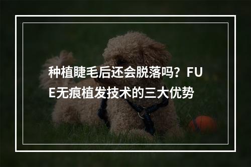 种植睫毛后还会脱落吗？FUE无痕植发技术的三大优势