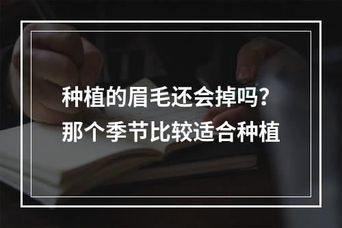 种植的眉毛还会掉吗？那个季节比较适合种植