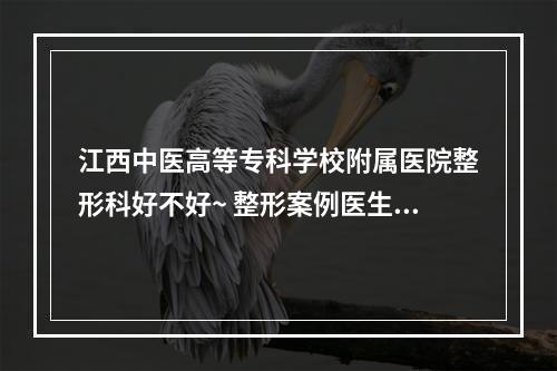 江西中医高等专科学校附属医院整形科好不好~ 整形案例医生可查