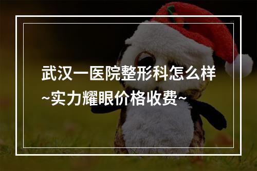 武汉一医院整形科怎么样~实力耀眼价格收费~