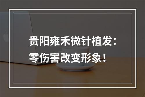 贵阳雍禾微针植发：零伤害改变形象！