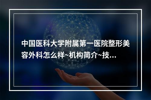 中国医科大学附属第一医院整形美容外科怎么样~机构简介~技术口碑查看~