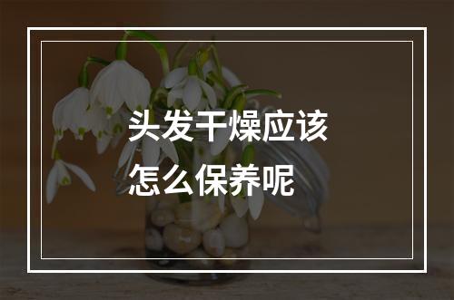 头发干燥应该怎么保养呢