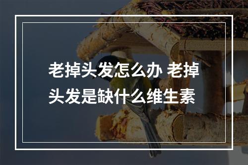 老掉头发怎么办 老掉头发是缺什么维生素