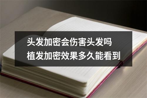 头发加密会伤害头发吗 植发加密效果多久能看到