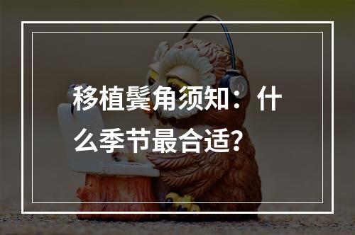 移植鬓角须知：什么季节最合适？