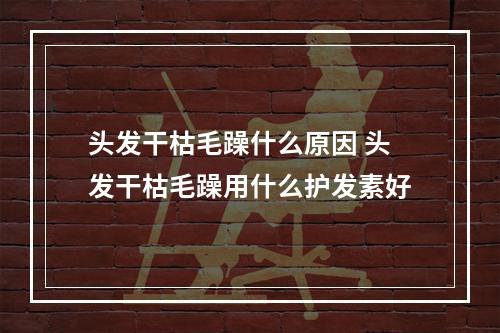 头发干枯毛躁什么原因 头发干枯毛躁用什么护发素好