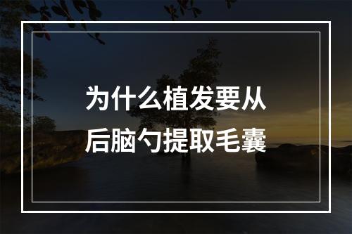 为什么植发要从后脑勺提取毛囊