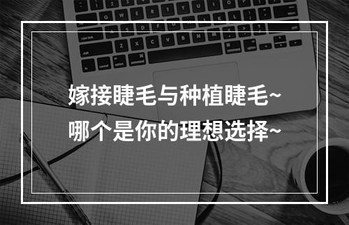 嫁接睫毛与种植睫毛~哪个是你的理想选择~