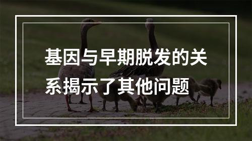 基因与早期脱发的关系揭示了其他问题