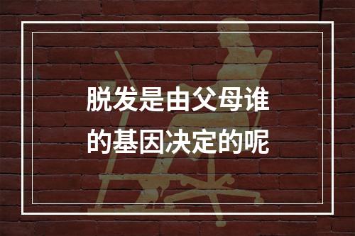 脱发是由父母谁的基因决定的呢