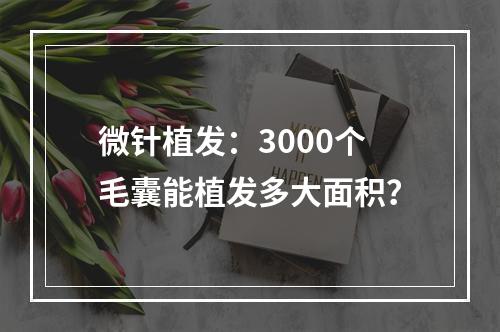 微针植发：3000个毛囊能植发多大面积？