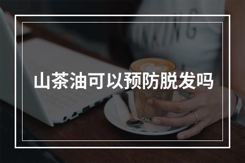 山茶油可以预防脱发吗