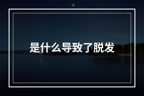 是什么导致了脱发