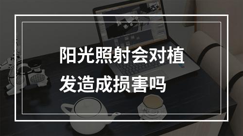 阳光照射会对植发造成损害吗