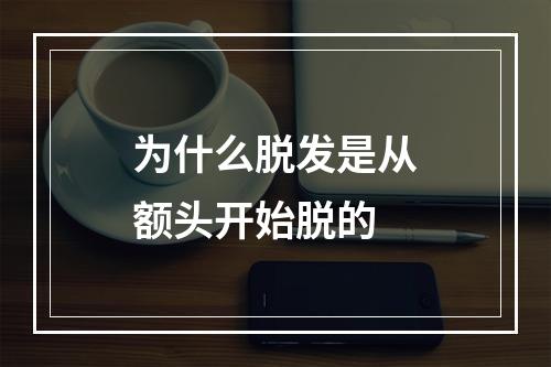 为什么脱发是从额头开始脱的