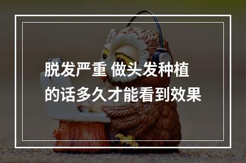 脱发严重 做头发种植的话多久才能看到效果